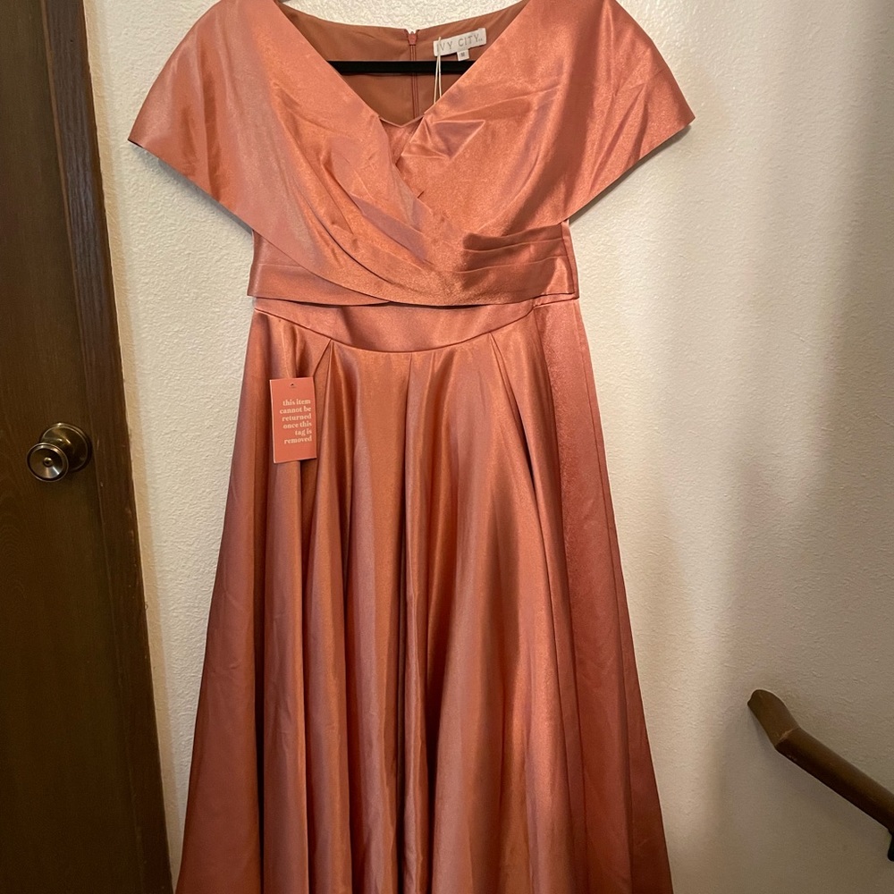 NWT Ivy City Audrey dress in Rose size medium, short sleeve midi zipper - Picture 2 of 6